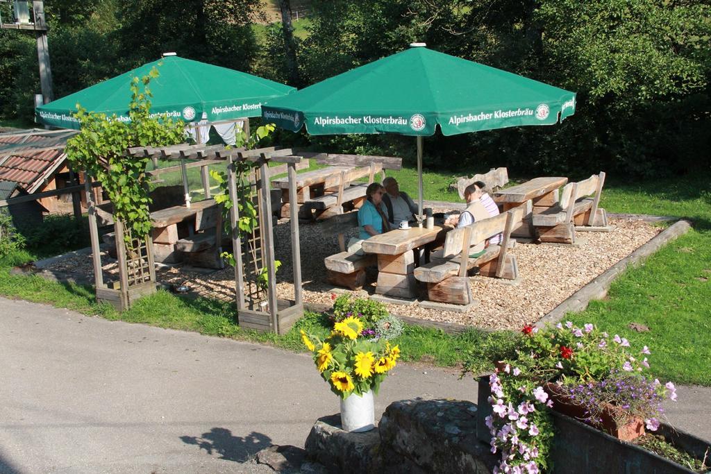 Landgasthof Untere Muehle Alpirsbach Εξωτερικό φωτογραφία