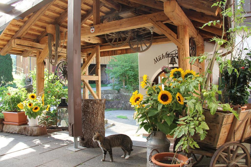 Landgasthof Untere Muehle Alpirsbach Εξωτερικό φωτογραφία
